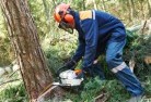 West Kempseytree-cutting-services-21.jpg; ?>